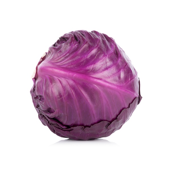 Ảnh của Red cabbage Holland